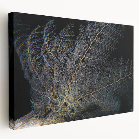 Vibrant marine life coral design wall art on stretched canvas, showcasing intricate ocean colors and textures, ideal for coastal-themed decor.