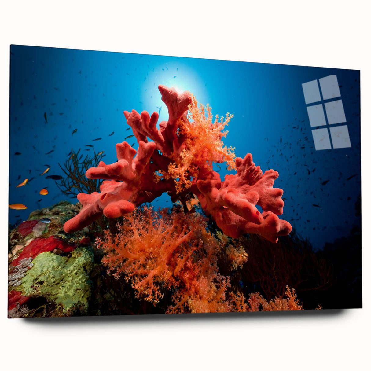 Colorful marine life coral design wall art displayed from a side view, featuring vibrant blue and orange hues on acrylic glass, perfect for ocean-themed decor.