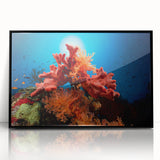 Framed acrylic wall art featuring a vibrant marine life coral design, showcasing intricate details in blues and oranges, perfect for ocean-themed decor.