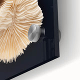 Close-up of vibrant marine life coral design wall art, showcasing intricate details and colors on acrylic glass, perfect for ocean-themed decor.