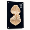 Colorful marine life wall art featuring a vibrant coral design printed on high-quality acrylic glass, showcasing intricate details and a modern aesthetic, perfect for ocean-themed decor.
