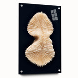 Colorful marine life wall art featuring a vibrant coral design printed on high-quality acrylic glass, showcasing intricate details and a modern aesthetic, perfect for ocean-themed decor.