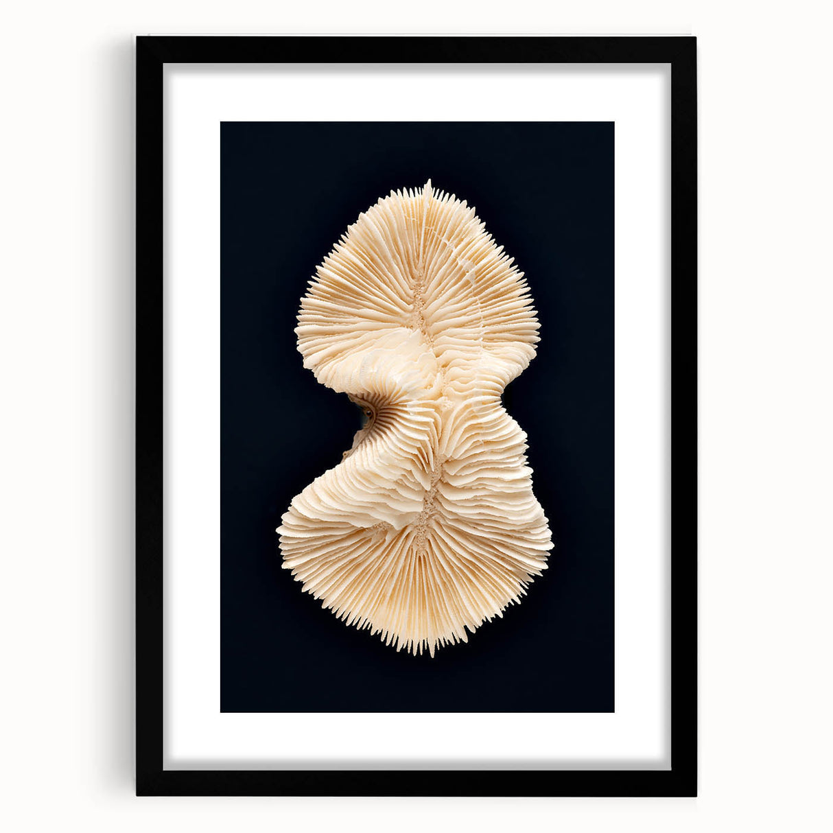 Framed marine life wall art featuring a vibrant coral design, set in an elegant black frame with a mat, perfect for ocean-themed decor in any room.