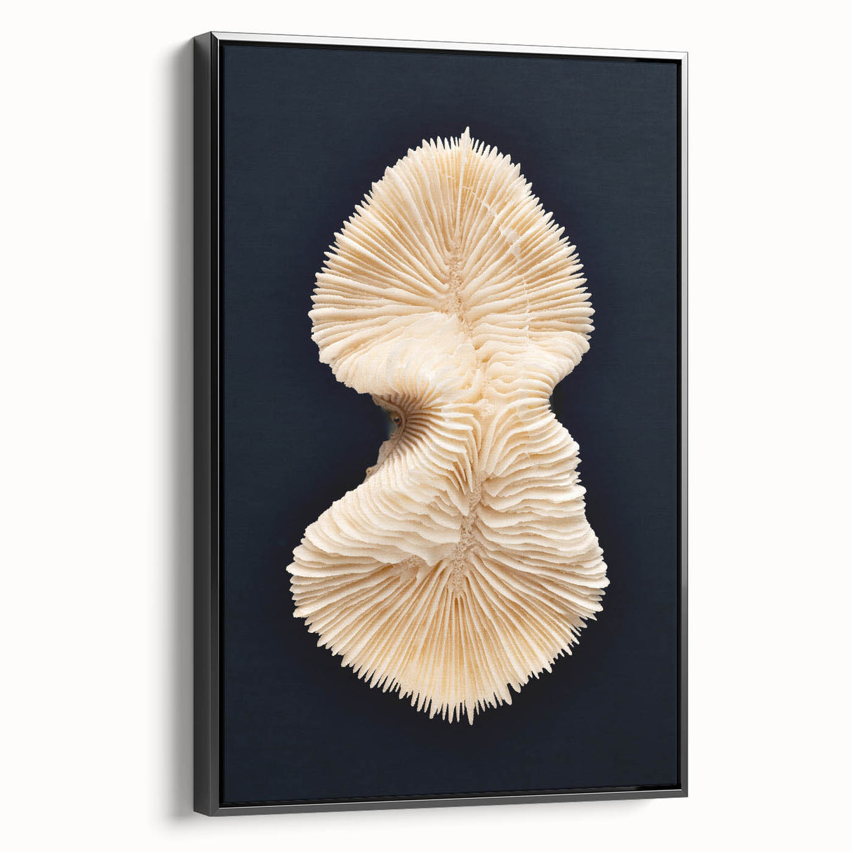 Framed canvas wall art showcasing a vibrant marine life coral design, featuring intricate details in shades of blue and orange, elegantly displayed from the side.