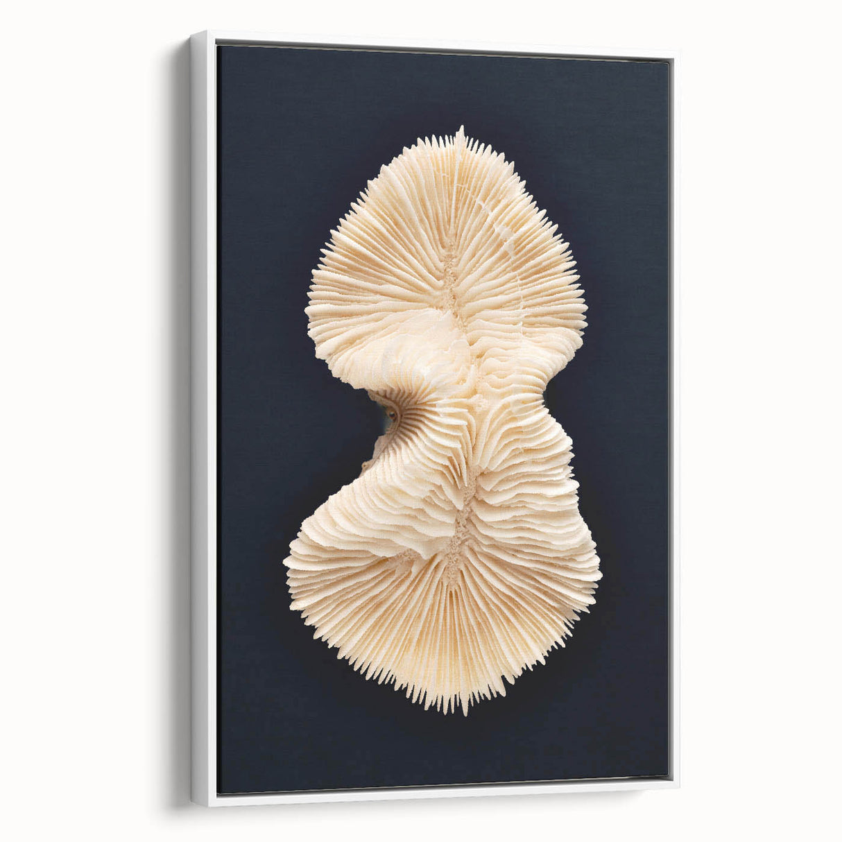 Framed canvas wall art showcasing a vibrant marine life coral design, featuring intricate details and bright colors, ideal for ocean-themed decor.