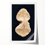 Vibrant marine life coral design rolled print showcasing intricate underwater patterns in shades of blue and orange, perfect for ocean-themed decor.