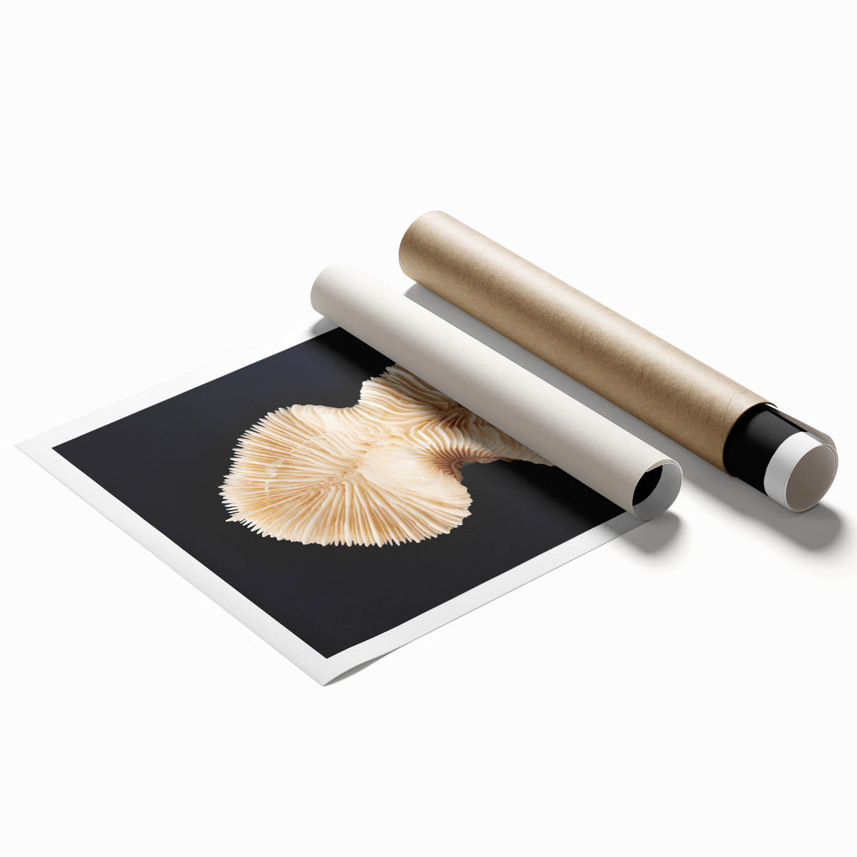 Vibrant marine life coral design wall art print showcasing intricate details and vivid colors, rolled for easy display and shipping in protective packaging.