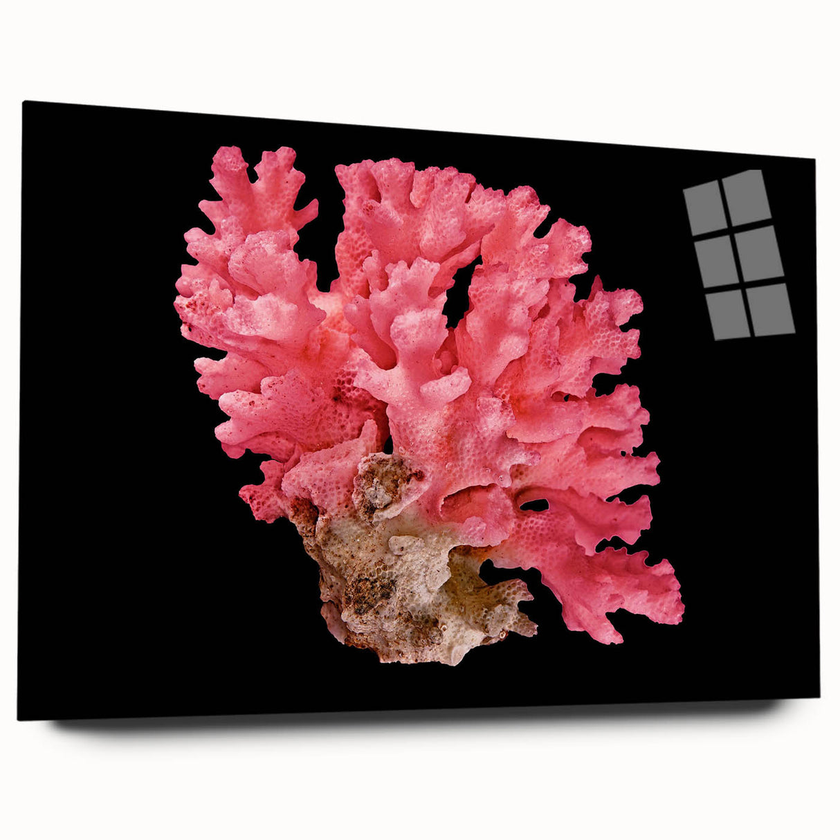 Vibrant marine life coral design wall art collection displayed in a sleek acrylic frame, showcasing intricate underwater patterns with rich colors, perfect for ocean-themed decor.