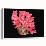 Framed canvas wall art showcasing a vibrant marine life coral design, featuring intricate details and a white frame, ideal for coastal-themed decor.