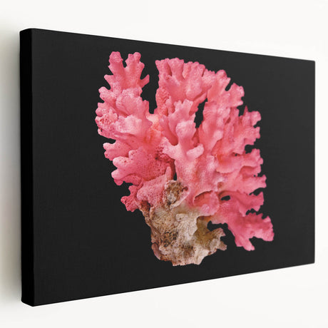 Stretched canvas wall art showcasing a vibrant marine life coral design with intricate details, perfect for ocean-themed decor in living spaces.