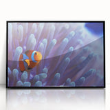 Framed acrylic wall art showcasing a vibrant marine life coral design in black frame, perfect for coastal-themed decor, adding color and elegance to any space.