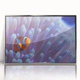 Framed acrylic wall art displaying a vibrant marine life coral design, featuring shades of blue and orange, ideal for ocean-themed decor in modern interiors.