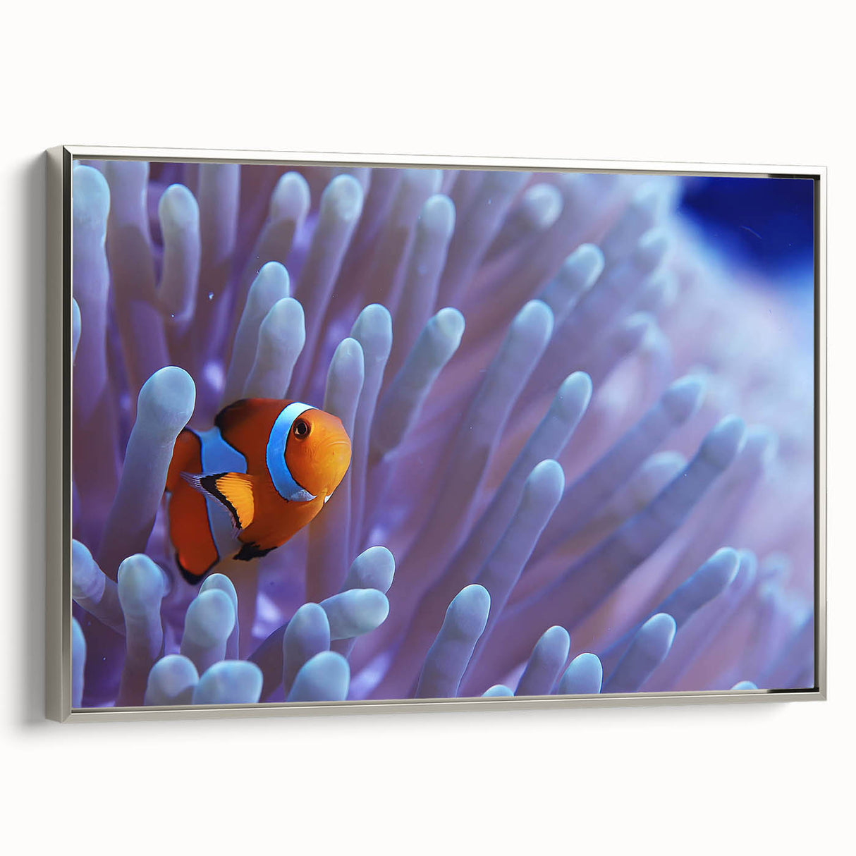 Framed canvas wall art showcasing a vibrant marine life coral design, featuring intricate details and a sleek silver frame, perfect for ocean-themed decor.