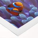 Vibrant rolled canvas wall art showcasing a detailed marine life and coral design, perfect for ocean-themed decor. Ideal for enhancing any living space.
