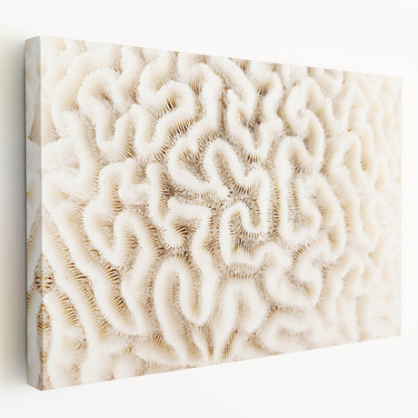 Stretched canvas wall art showcasing a vibrant marine life coral design, featuring intricate details and vivid colors, perfect for ocean-themed decor.