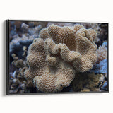 Framed wall art showcasing a vibrant coral marine life design on canvas, set against a sleek black frame. Ideal for ocean-themed decor or marine enthusiasts.