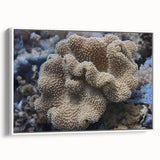 Framed wall art collection showcasing vibrant marine life and coral designs on a textured canvas, featuring a sleek white frame with a side view.
