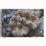 Stretched canvas wall art showcasing vibrant marine life and coral designs, featuring vivid blues and greens, perfect for ocean-themed decor in homes or offices.
