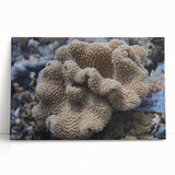 Vibrant marine life coral design on stretched canvas wall art, showcasing intricate underwater details in bright blues and greens, perfect for ocean-themed decor.