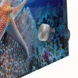 Vibrant close-up of a marine life coral design wall art piece made from acrylic glass, showcasing intricate textures and vivid colors, perfect for ocean-themed decor.