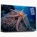 Vibrant marine life coral design wall art collection displayed in acrylic glass, showcasing intricate details and vivid colors, ideal for ocean-themed decor.