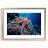 Elegant silver-framed wall art collection showcasing vibrant coral marine life design, perfect for ocean-themed decor. Ideal for enhancing living spaces and promoting marine conservation.