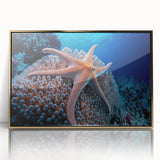 Framed wall art collection showcasing vibrant marine life and coral designs, featuring a gold-acrylic front, perfect for ocean-themed decor in modern interiors.