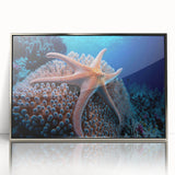 Framed acrylic wall art featuring a vibrant marine life coral design in silver, showcasing colorful coral reefs and fish, perfect for ocean-themed decor.