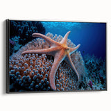 Framed wall art featuring a vibrant marine life coral design on canvas, displayed in a sleek black frame, showcasing intricate colors and details perfect for ocean-themed decor.