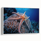Framed canvas wall art showcasing a vibrant marine life coral design with intricate details and a white frame, ideal for ocean-themed decor.
