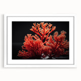Coral-themed wall art collection framed with white matting, showcasing vibrant marine life illustrations in an elegant display, perfect for coastal decor enthusiasts.