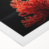 Vibrant rolled canvas artwork showcasing a colorful marine life coral design, perfect for ocean-themed decor, featuring intricate details and bright hues.