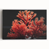 Vibrant coral reef wall art collection displayed on stretched canvas, showcasing intricate marine life designs in vivid colors, ideal for ocean-themed decor.