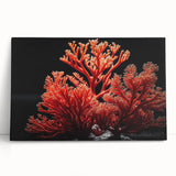 Vibrant coral reef wall art design featuring colorful marine life and textures, printed on stretched canvas, perfect for enhancing coastal-themed decor.