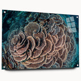 Vibrant marine life coral design wall art collection displayed in acrylic glass, showcasing intricate sea creature details and vivid colors, ideal for ocean-themed decor.