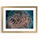 Framed wall art featuring a vibrant marine life coral design with gold accents, showcasing intricate details of underwater flora in a stylish presentation.