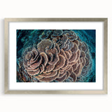 Framed wall art featuring a vibrant marine life and coral design, set in a sleek silver frame with matting, ideal for ocean-themed decor and coastal aesthetics.