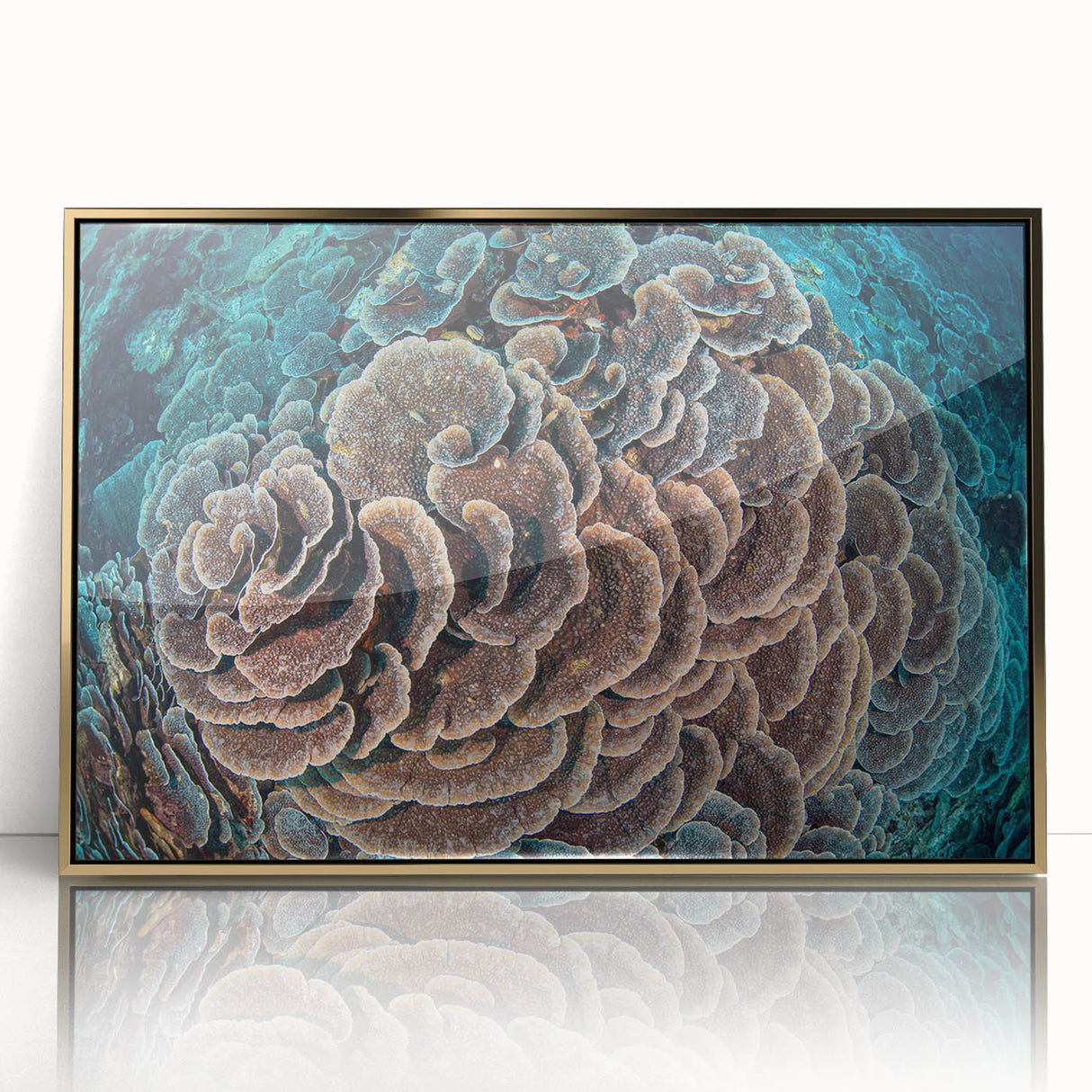 Framed acrylic wall art featuring a vibrant marine life coral design with gold accents, perfect for enhancing coastal-themed interiors and ocean-inspired decor.