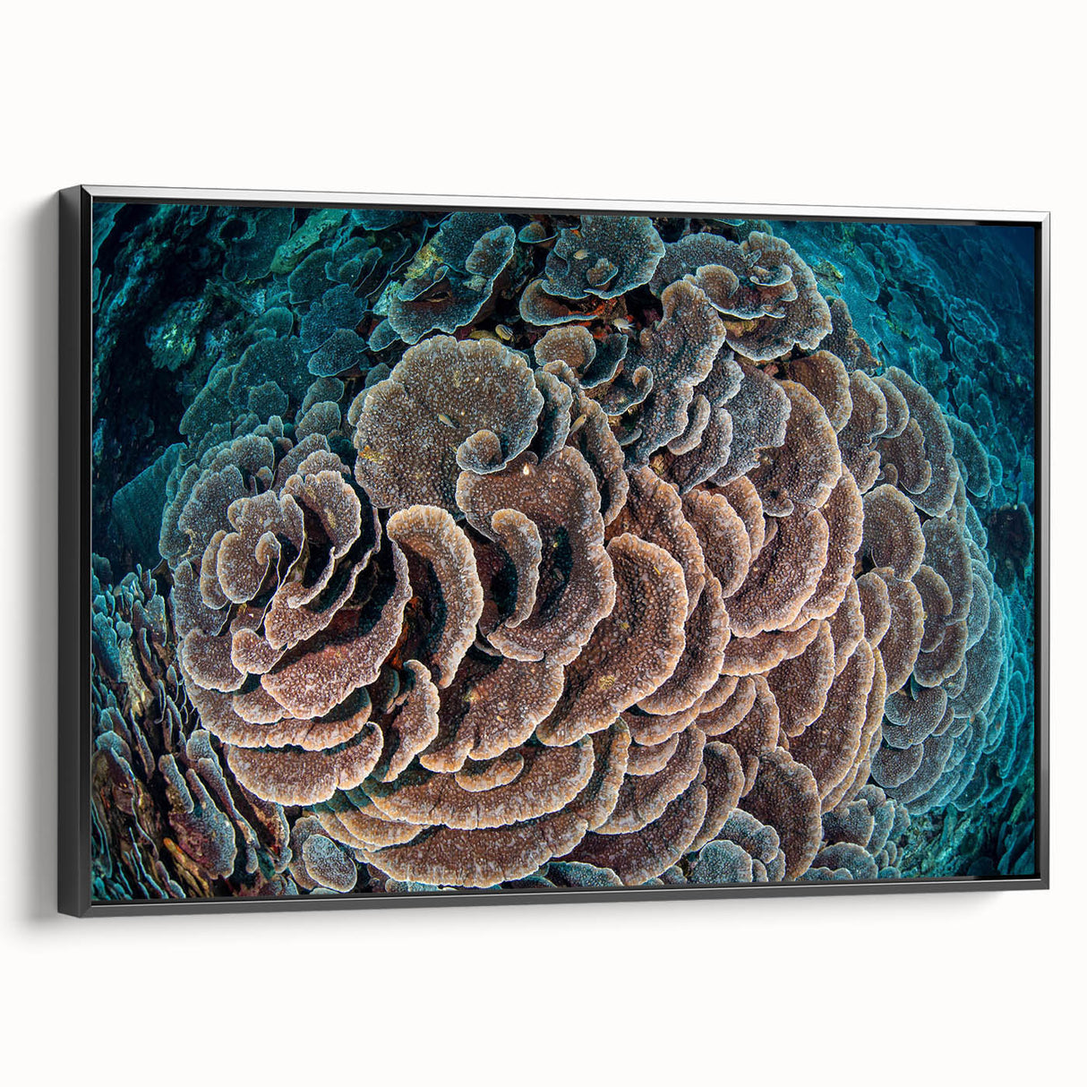 Framed canvas wall art showcasing a vibrant marine life coral design. The artwork features intricate details in shades of blue and orange, enhancing any ocean-themed decor.