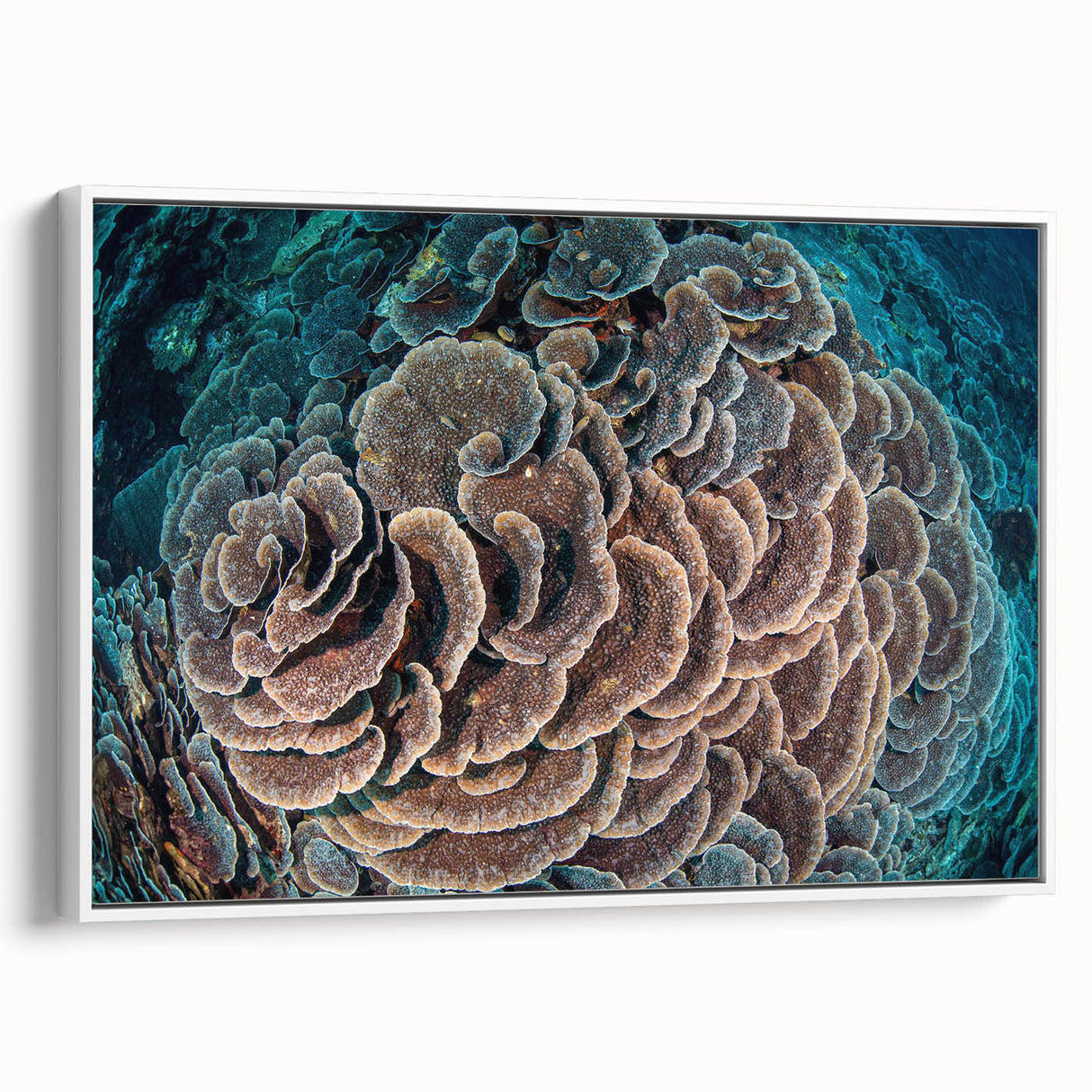 Framed wall art showcasing a vibrant marine life coral design, featuring intricate details in hues of blue, pink, and orange, perfect for ocean-themed decor.