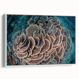 Framed wall art showcasing a vibrant marine life coral design, featuring intricate details in hues of blue, pink, and orange, perfect for ocean-themed decor.