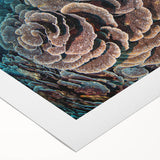 Vibrant rolled canvas wall art showcasing an intricate marine life coral design, featuring colorful coral patterns and oceanic hues, perfect for enhancing coastal decor.