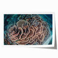 Vibrant marine life coral wall art print showcasing colorful underwater scenes with intricate coral details, perfect for ocean-themed decor and enhancing interior spaces.