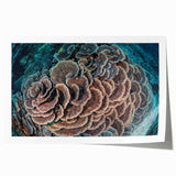 Vibrant marine life coral wall art print showcasing colorful underwater scenes with intricate coral details, perfect for ocean-themed decor and enhancing interior spaces.