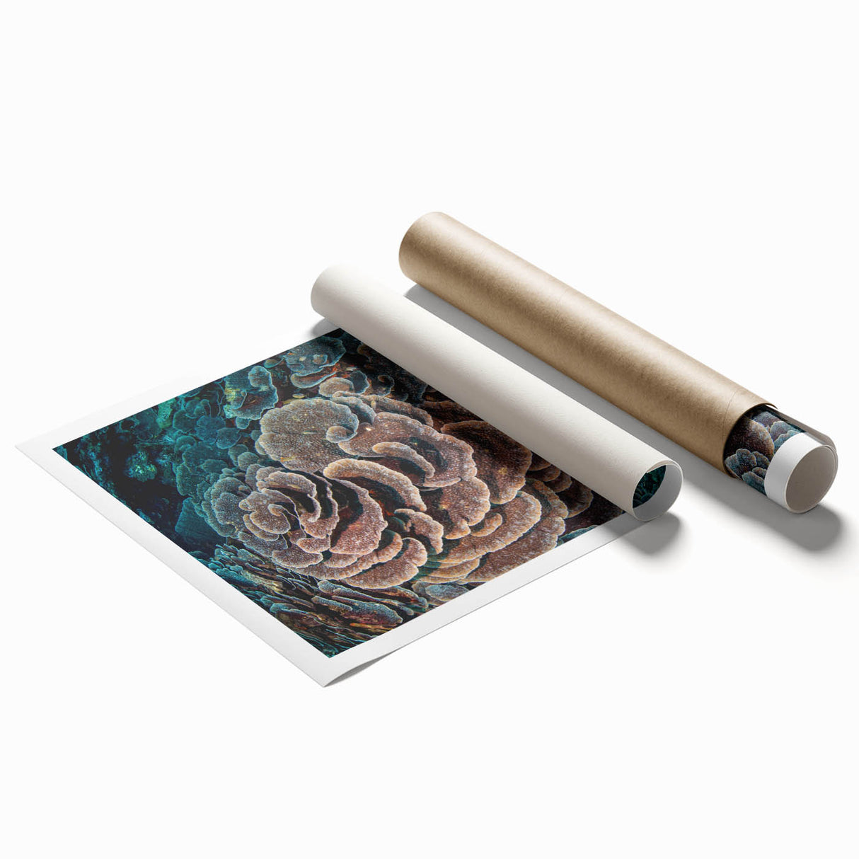 Vibrant marine life coral design wall art print featuring intricate underwater details and colorful coral patterns, ideal for ocean-themed decor.