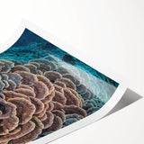 Vibrant marine life coral design wall art print featuring intricate details and bright colors, rolled and ready for framing to enhance any ocean-themed decor.