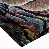 Close-up of vibrant coral reef wall art on stretched canvas, showcasing intricate marine life designs in vivid colors, perfect for ocean-themed decor.