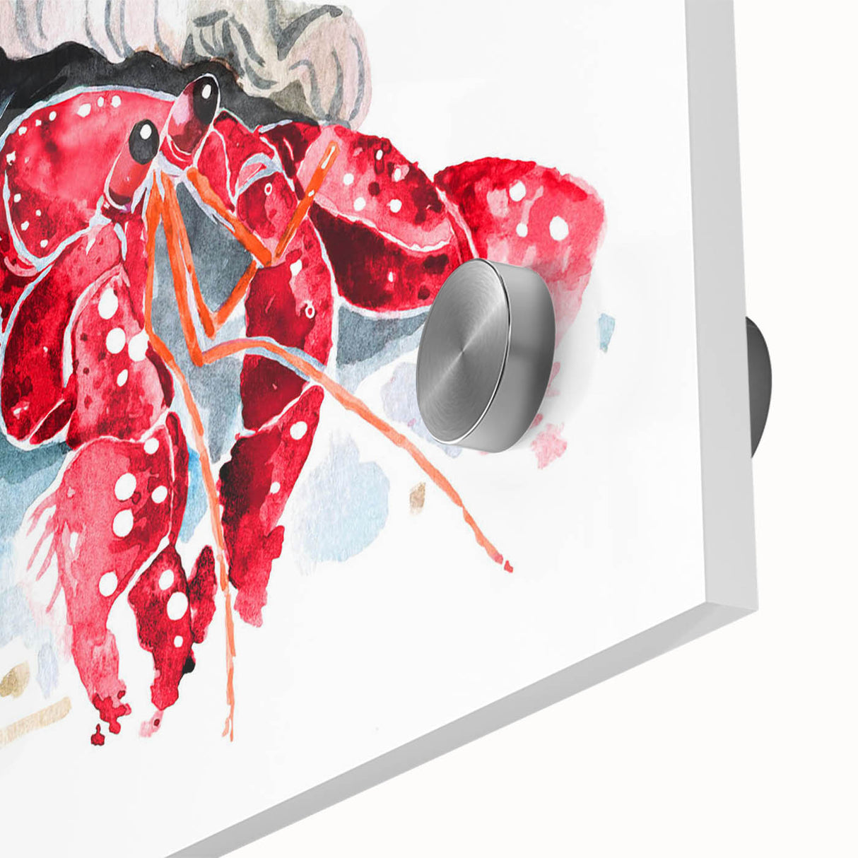Close-up of vibrant marine life wall art featuring a detailed crab design on acrylic glass, showcasing intricate colors and textures, perfect for ocean-themed decor.