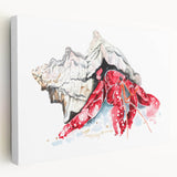 Vibrant marine life crab design stretched canvas wall art showcasing intricate details and lively colors, perfect for coastal-themed decor in any room.