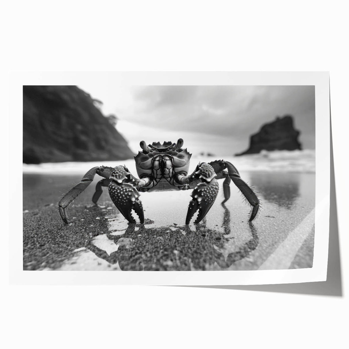 Colorful marine life wall art featuring a detailed crab design, ideal for ocean-themed decor. This rolled print showcases vibrant colors and intricate textures, perfect for enhancing any coastal space.